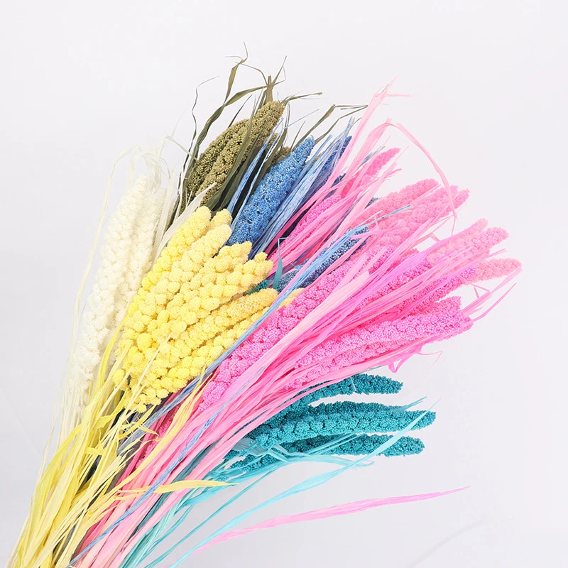 11124257001_1077263859