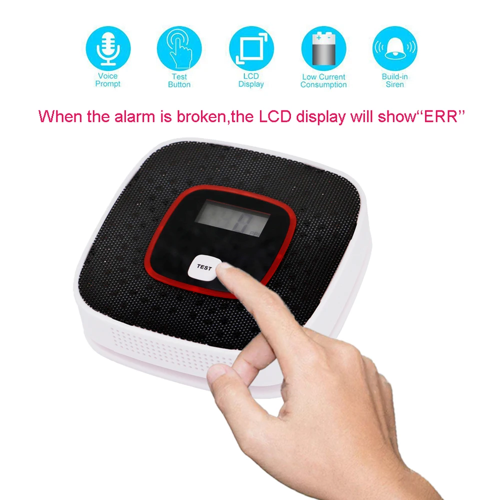 Detector CO LCD Display