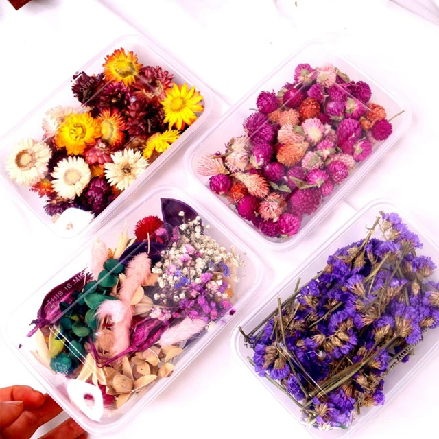 1pcs DIY Scented Candle Floating Flower Dried Flower Flower Material Fragmentary Flower Material DIY Handicraft 5