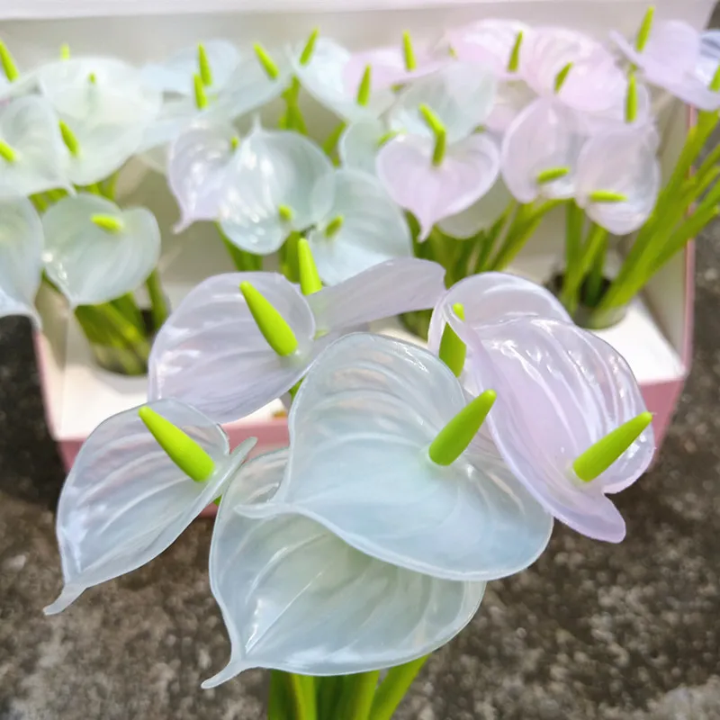 微信图片_20190701213002_副本