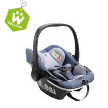 Welldon, автолюлька от 0 до 15 месяцев, детская Автомобильная корзина, переносное безопасное детское автомобильное кресло, ручная корзина, кресло, сиденье для младенцев, защищает сиденье, корзина для стула