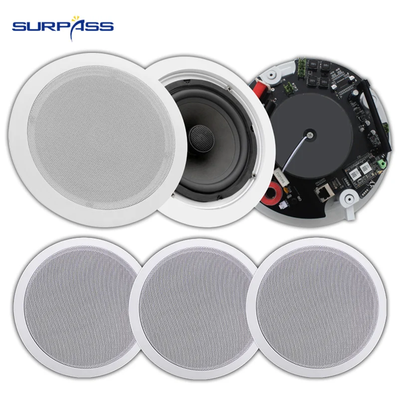 ceiling speakers with built in amplifier