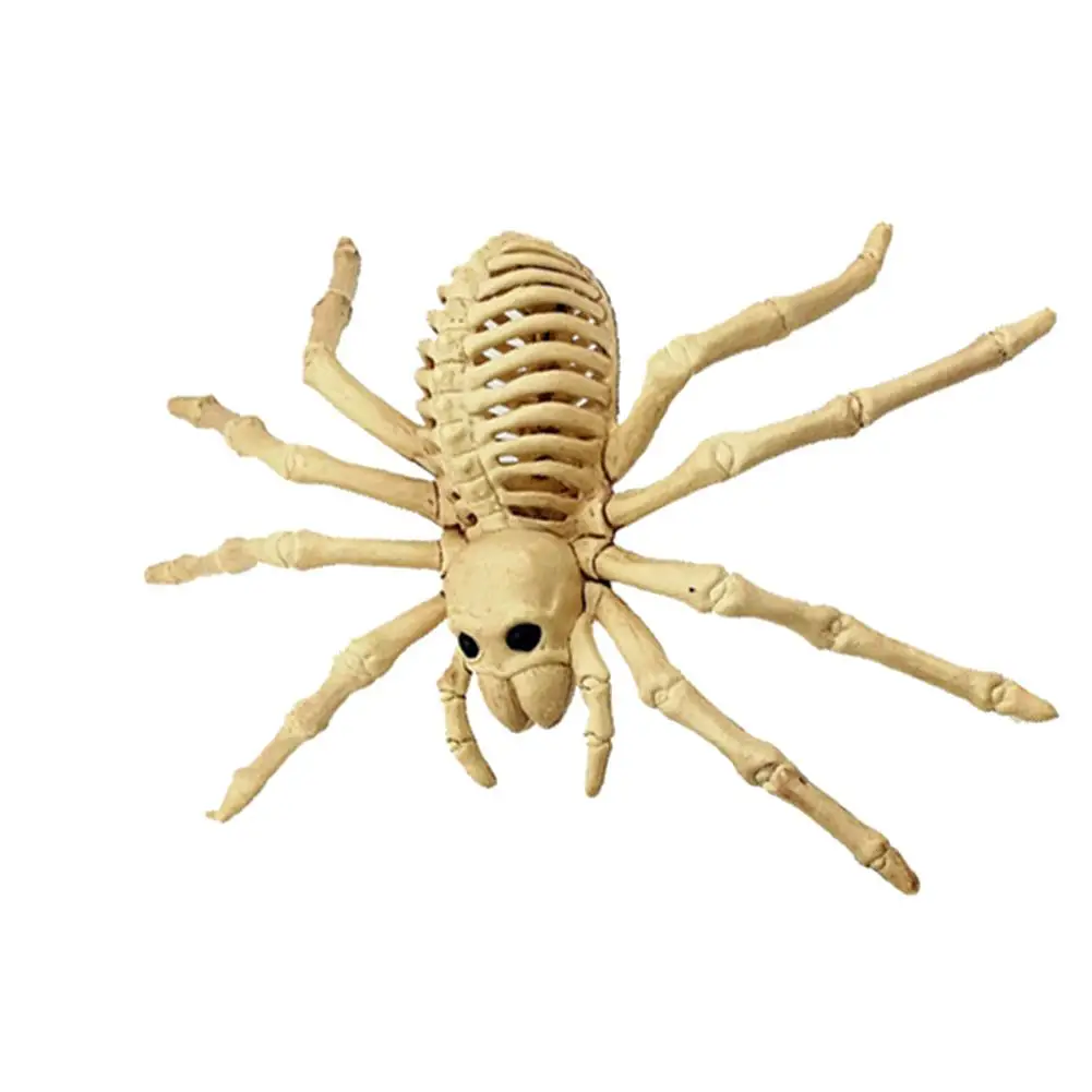 

Creepy skull spider spider skeleton bones scary halloween party bar home decoration decoration accessories decoration