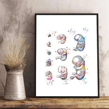 

Pregnancy Womb Watercolor Gynecology Wall Art Canvas Painting Anatomy Posters and Prints Midwife Baby Gift Doctor Office Decor