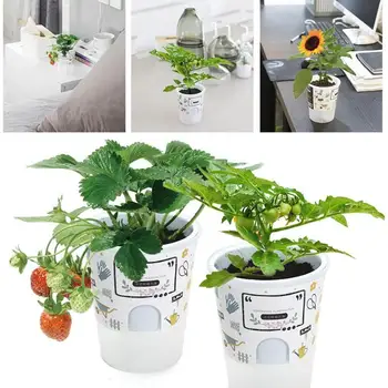 

DIY Plant Potted Simulation Artificial Potted Plants Growth Toy For Kids Best Gift Creative Fruit Vegetable Plantable Plants Toy