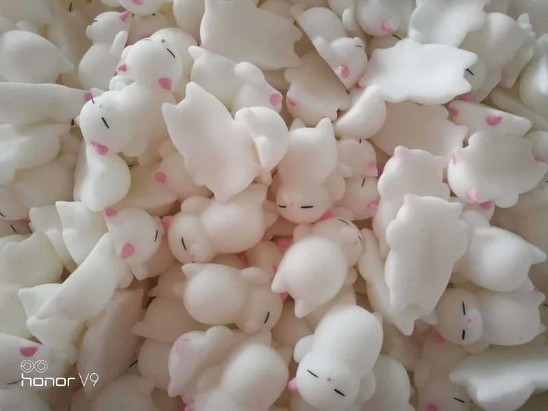 4786219824_1268129761