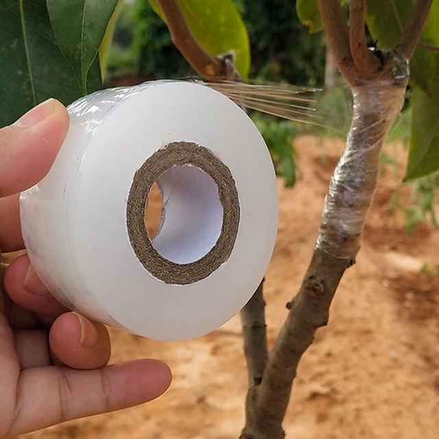 Parafilm Óvoda Oltása Strechable Film Szalagos Kerti Fa Növények Palánták Környezetbarát Pe Önfagási Szélesség 3Cm