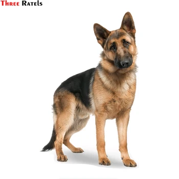 

Three Ratels TZ-1737# 13x20cm german shepherd on board car stickers funny car sticker auto decals