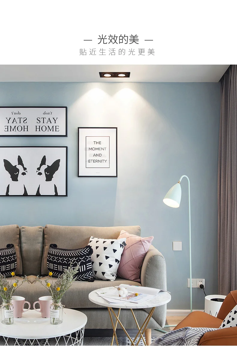 O1CN012BGwZIFMW1YQ2XT_!!2893928312