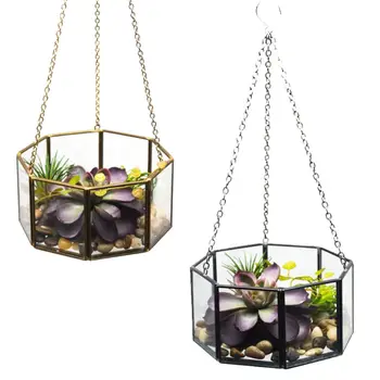 

Octagonal Geometric Hanging Glass Flower Plant Vase Terrarium Container Pot Home
