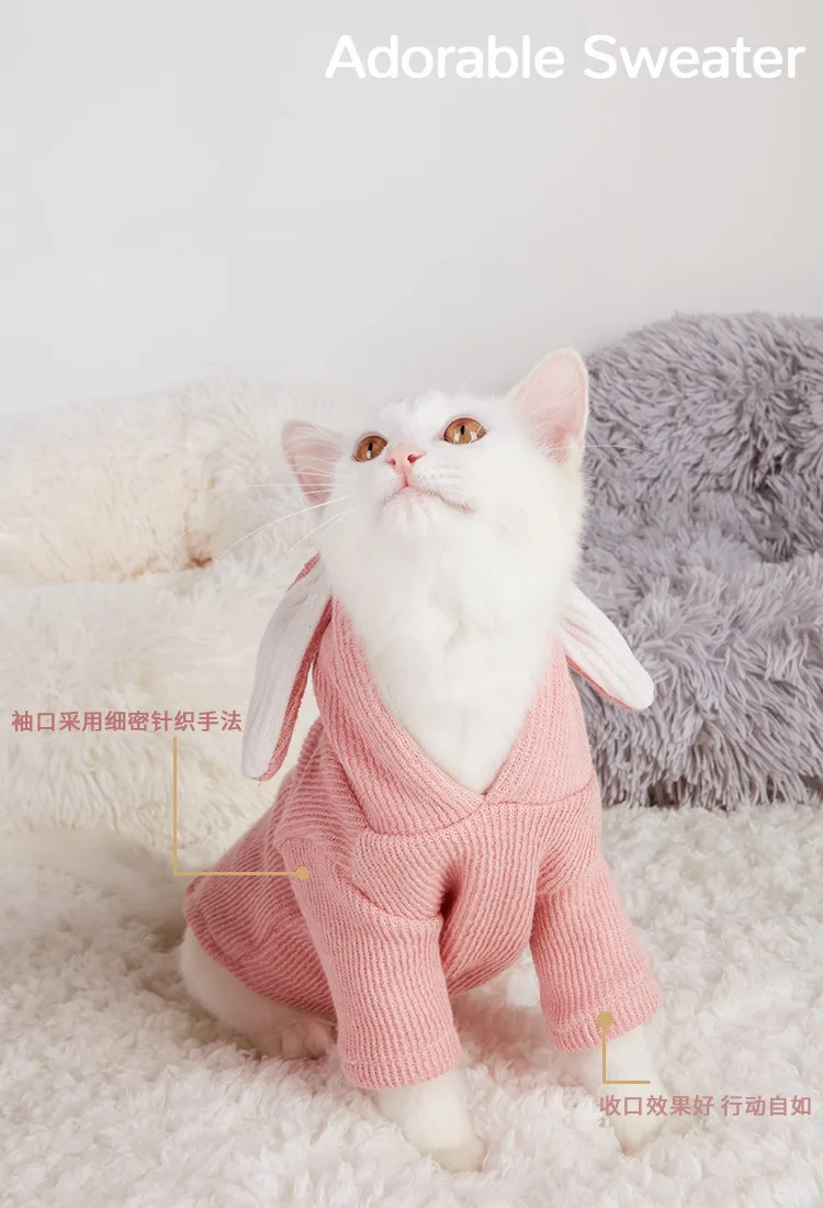 11002901495_1411948462