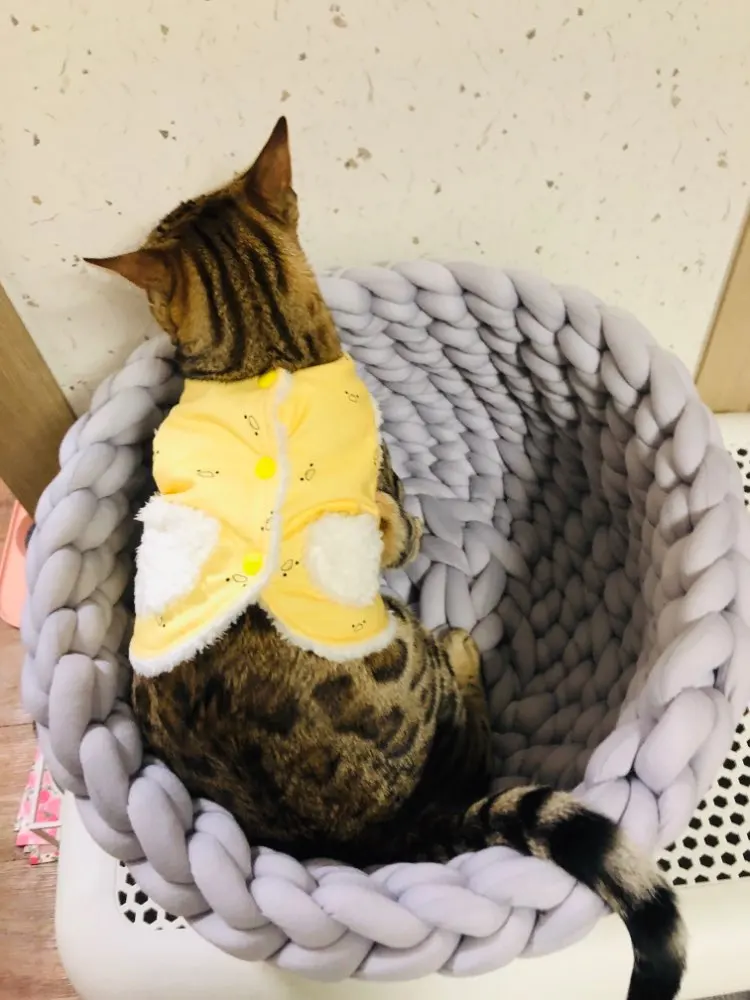 UTB85KRFGarFXKJk43Ovq6ybnpXaP