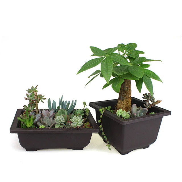 1Pc 5 Méretű Műanyag Virágcserép -Növényi Tál Bonsai Zamatos Medence Óvoda Edény Otthon És Kerti Kellékek - Image 5