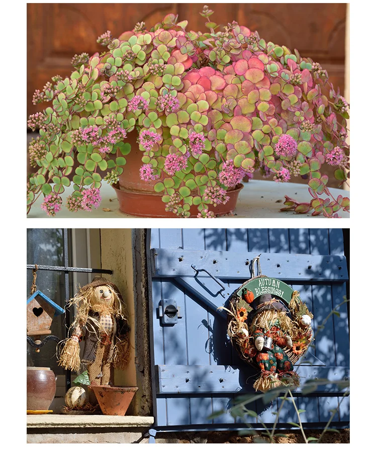 51kwnrk68JL._SL1200_