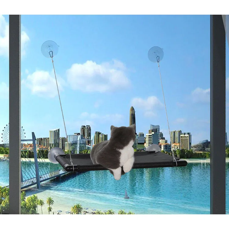 71FQJRLheCL._SL1000_