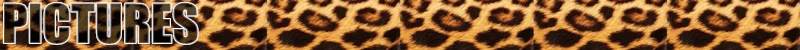 KUGUYS Extra große Halskette mit Anhänger „Schwarze Katze auf dem Mond“ für Damen, glitzerndes Acryl, Hyperbole-Schmuck, Statement-Accessoires – Detail 3