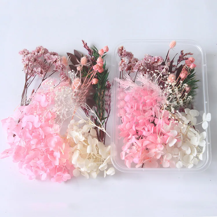 1 Box Real Dry Flower Dried Plants Natural Colorful DIY Frame Fan Embossing Materials Aromatherapy Candle Making Home Decoration 