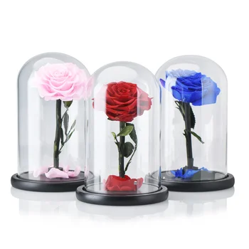 

Dropshiping Beauty and The Beast Flower Eternal Red Roses Preserved Flowers In Glass Dome Valentine Christmas Gifts for Women