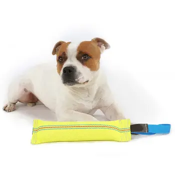 

Robust Pet Bites Chew Stick with Handle Toy In Fire Hose Pipes Dummy Floating Learning Roller Dog Biting Pudding Parts