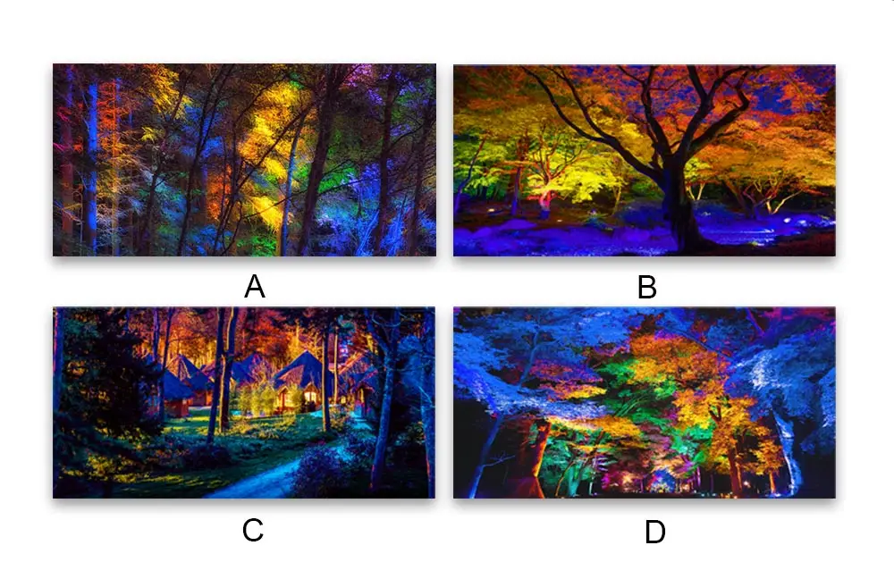 DDHH Wall Art Large Size Colorful Forest Trees Canvas Poster Art Prints Modern For Living Room Home Decorative Picture