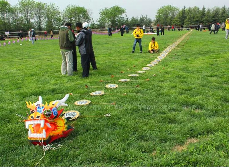 free shipping 20m big kite chinese traditional dragon kite line fly ferramenta paper kite ladybug huge kite kevlar 3d kite owl 3