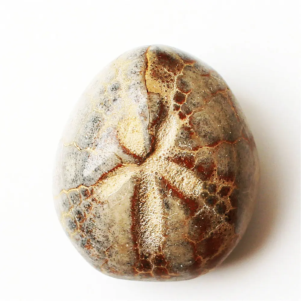 1 шт. миниатюрный камень с подвеской в виде морской звезды|Камни| |