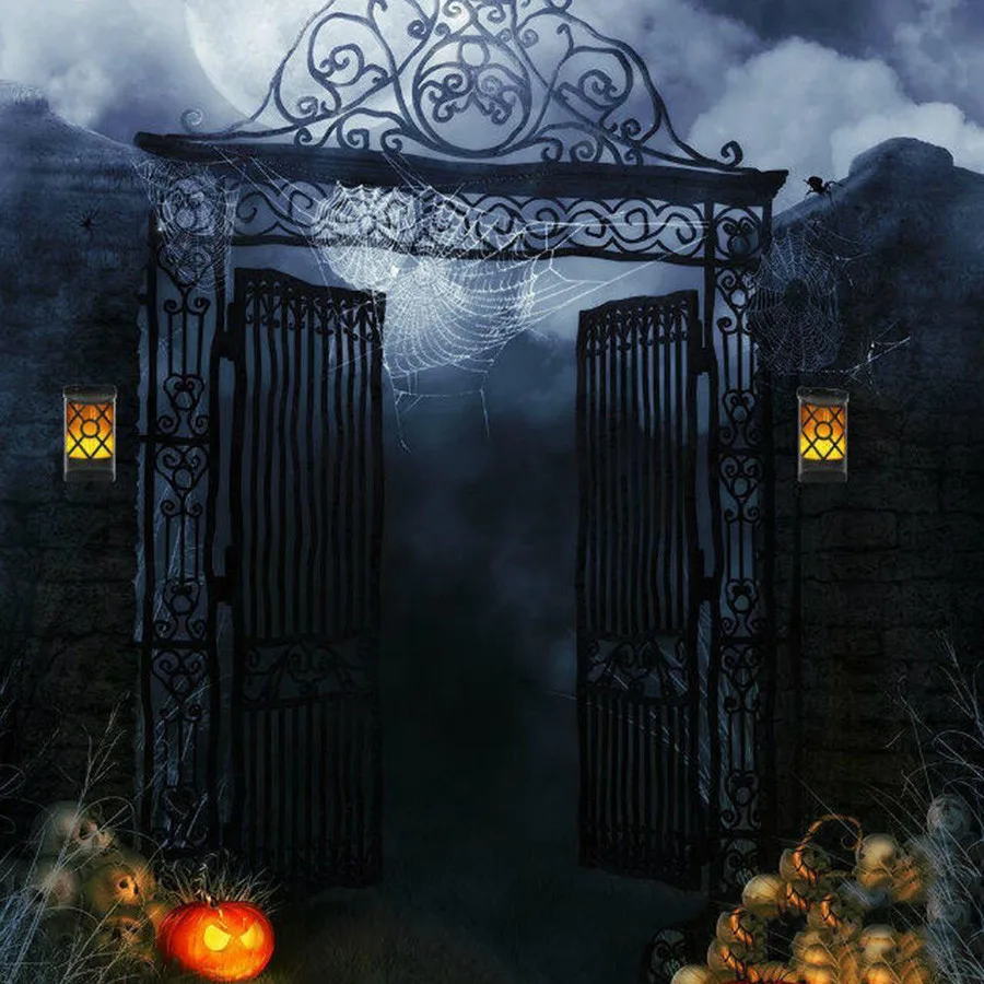 HTB1vFNXeStYBeNjSspkq6zU8VXaO