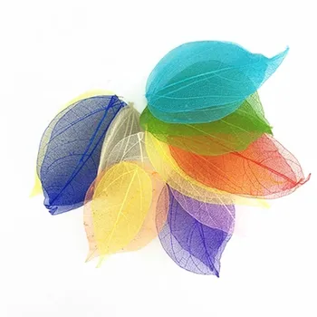 

Vein Leaves Real Pressed Flowers For Bookmark Decoration 100Pcs