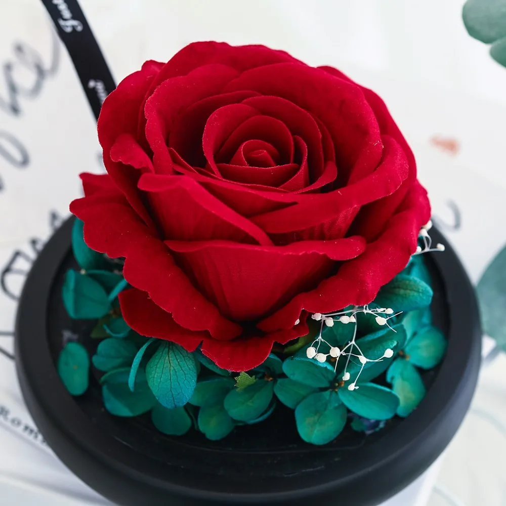 d3bd57bd8a3a27425295eadd8edcab97