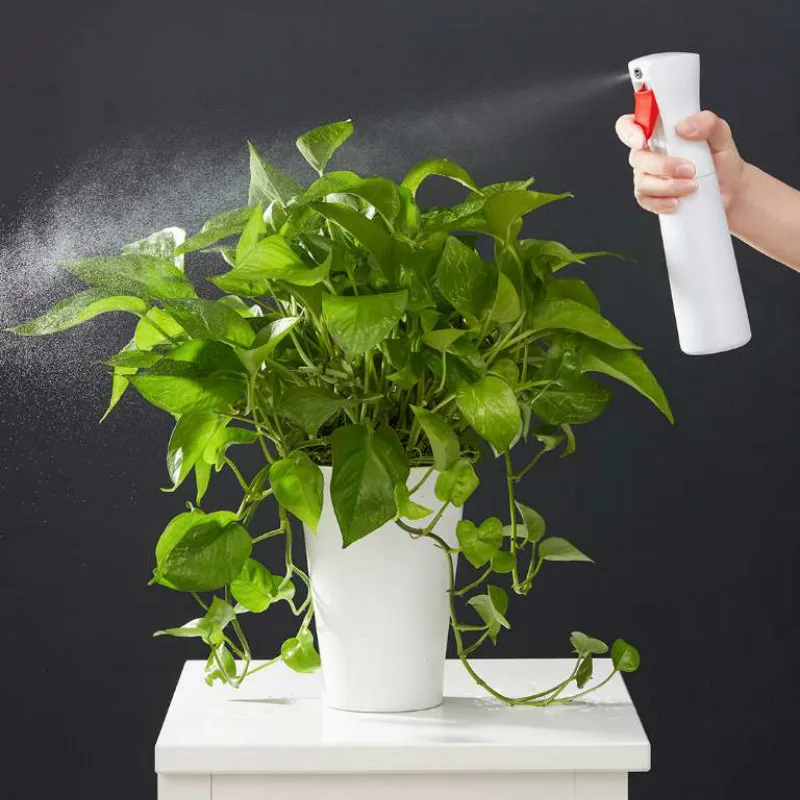 Hdbdf3339ae944ce2a8edeeafbe64b15es