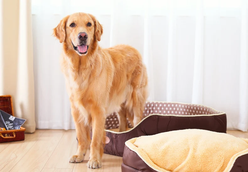 Кровати для домашних животных двухсторонний большой размер очень большая собака кровать Дом доступны все сезоны Диван Питомник мягкий флисовый, для питомца собака кошка теплая кровать S-L