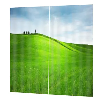 

Top Blackout Curtain Panel Window Screening Window Drapes 170*200cm Elegant Living Room Bedroom Decorative Curtains DZGT046