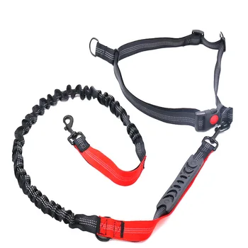 

Pet Dog Leash Elastic Leashes Rope With Collars For Dogs Cat Puppy Soft Breathable Reflective Chihuahua Walking Running Leads
