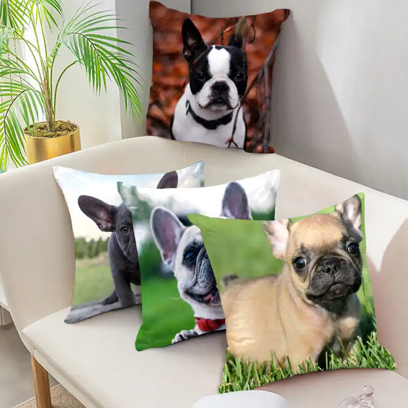 bulldog pillow