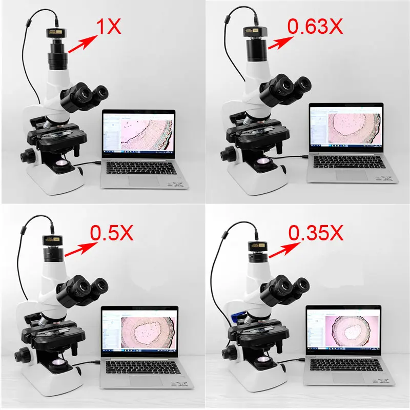 cheap microscopios 04