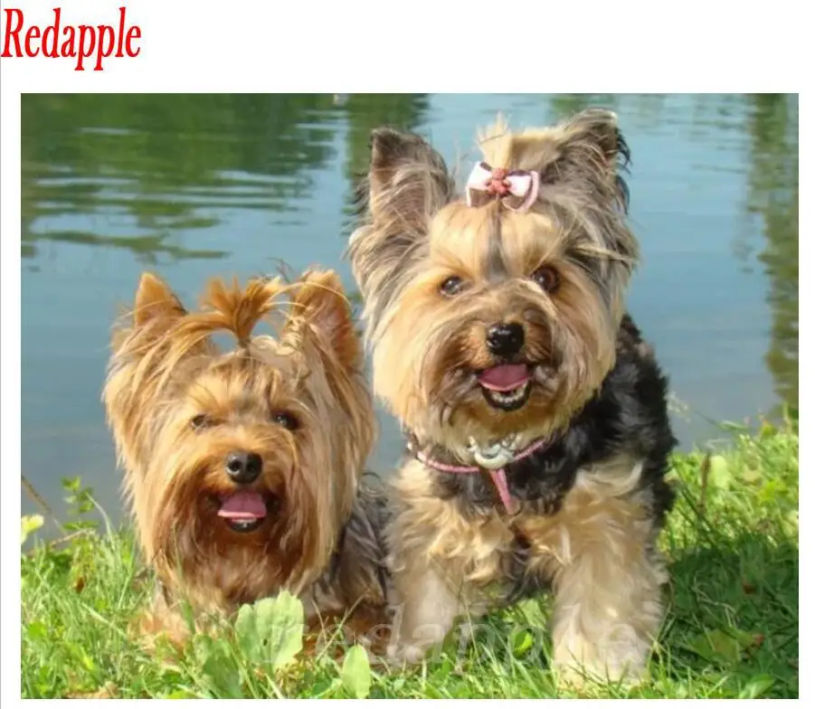 QQ截图20191125151508