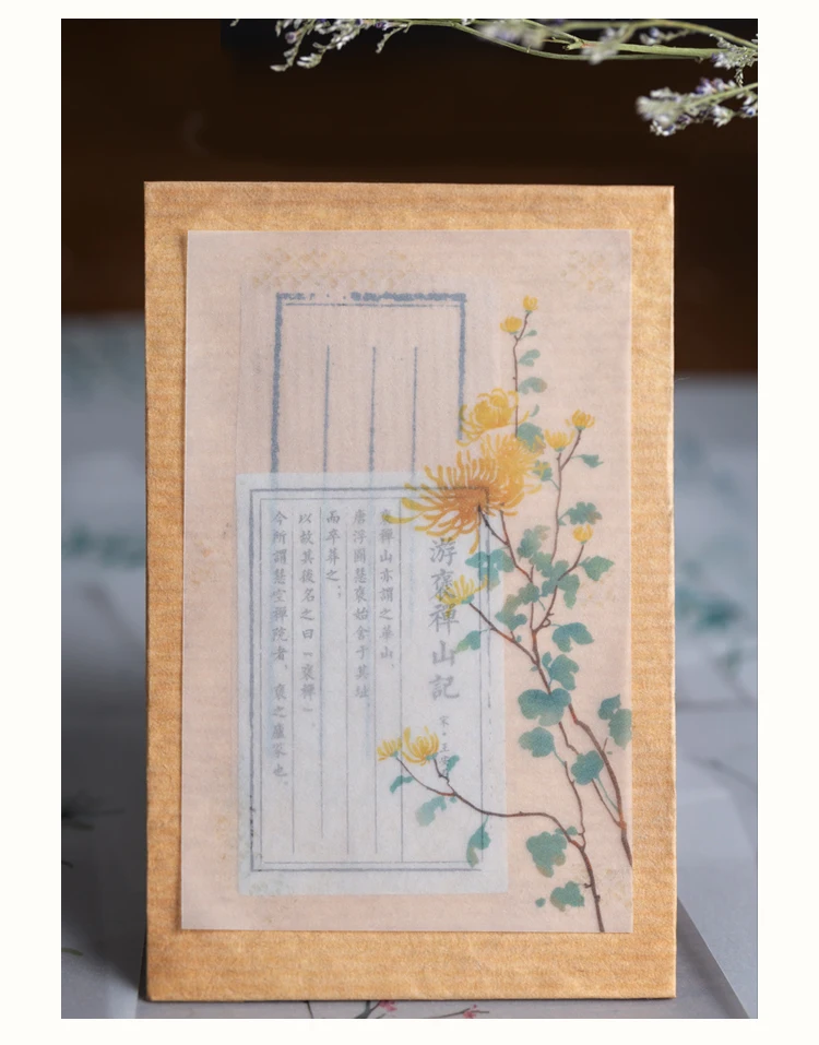 30 x Ретро растения серии липкий блокнот для заметок цветочный дневник стационарный скрапбук Декоративная Прозрачная N Times липкий