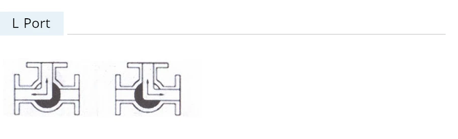 L port