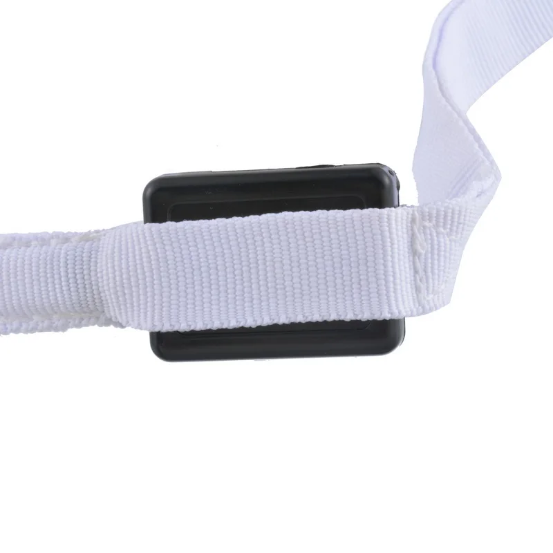 Dog Leash With Night LED Solid Nylon Dog Collar Adjustable Lead RopeNet Leashes Pet Dog Accessories