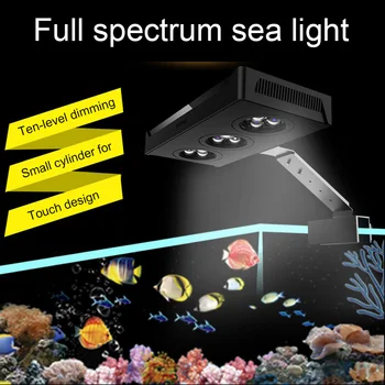 

LED Touch Control Sea Water Coral Light 10 Level Dimming 30W Sea Water Coral Light Suitable for 30-50CM Fish Tank 110-220V