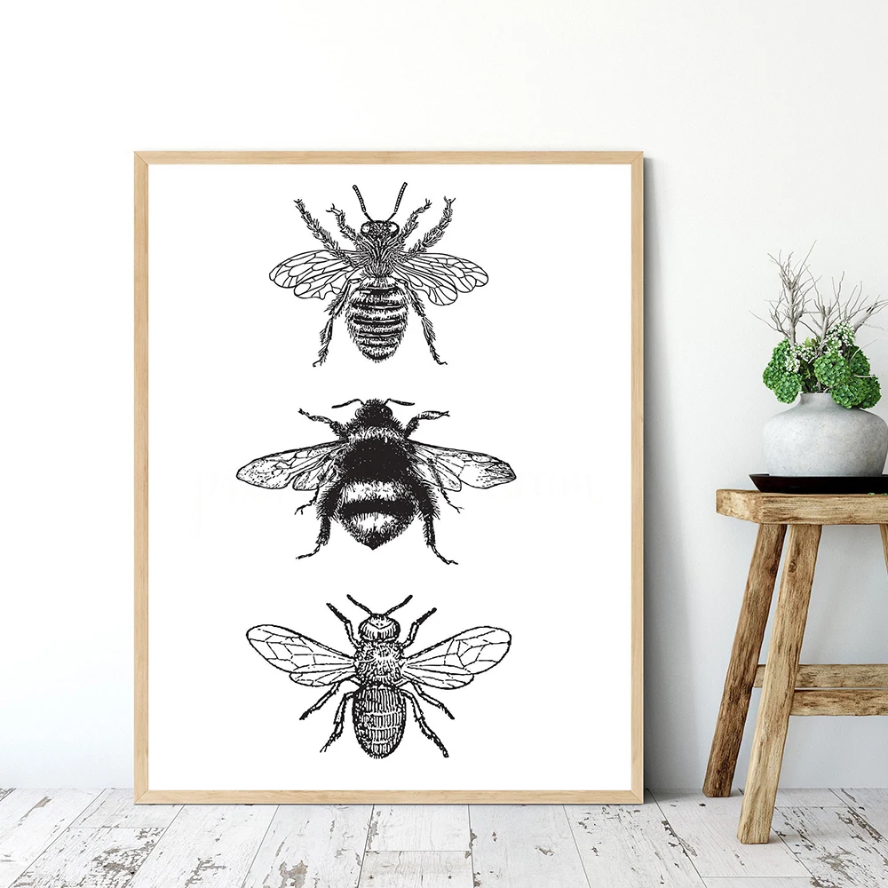 

Insect Bee Illustration Black And White Wall Art Canvas Painting Vintage Posters And Prints Wall Pictures Home Decor No Frame