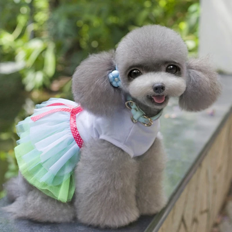 Dog Clothes for Small Dogs Lace Clothes Dress Sweety Princess Dress Small Dog All Seasons Puppy Lace Princess dress