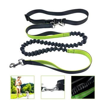 

Retractable Hands Free Dog Leash for Running Dual Handle Bungee Leash Reflective For Up to 150 lbs Large Dogs Free Bag Dispenser