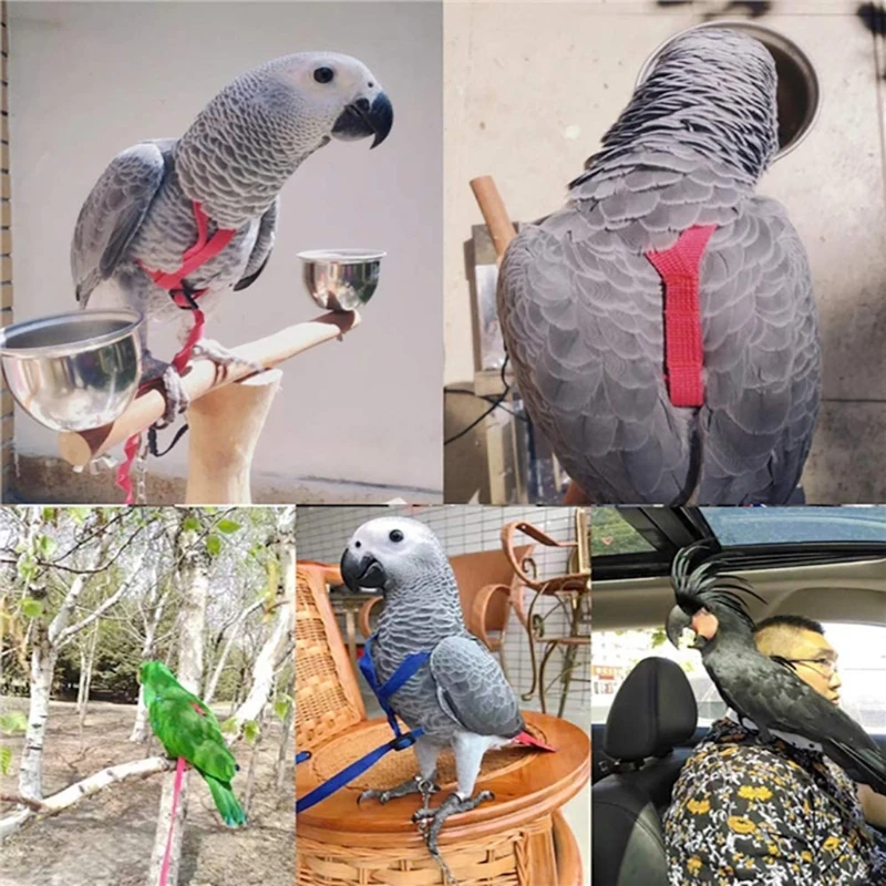 Papagei Vogel Harness Leine Außen Fliegen Traktion Straps Band Einstellbare Anti-Biss Ausbildung Seil 090C