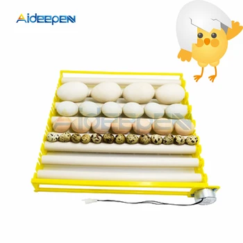 360 ° 자동 회전 계란 터너 롤러 트레이, 110V 220V 계란 인큐베이터 액세서리, 롤러 패턴, 42 계란, 1 세트