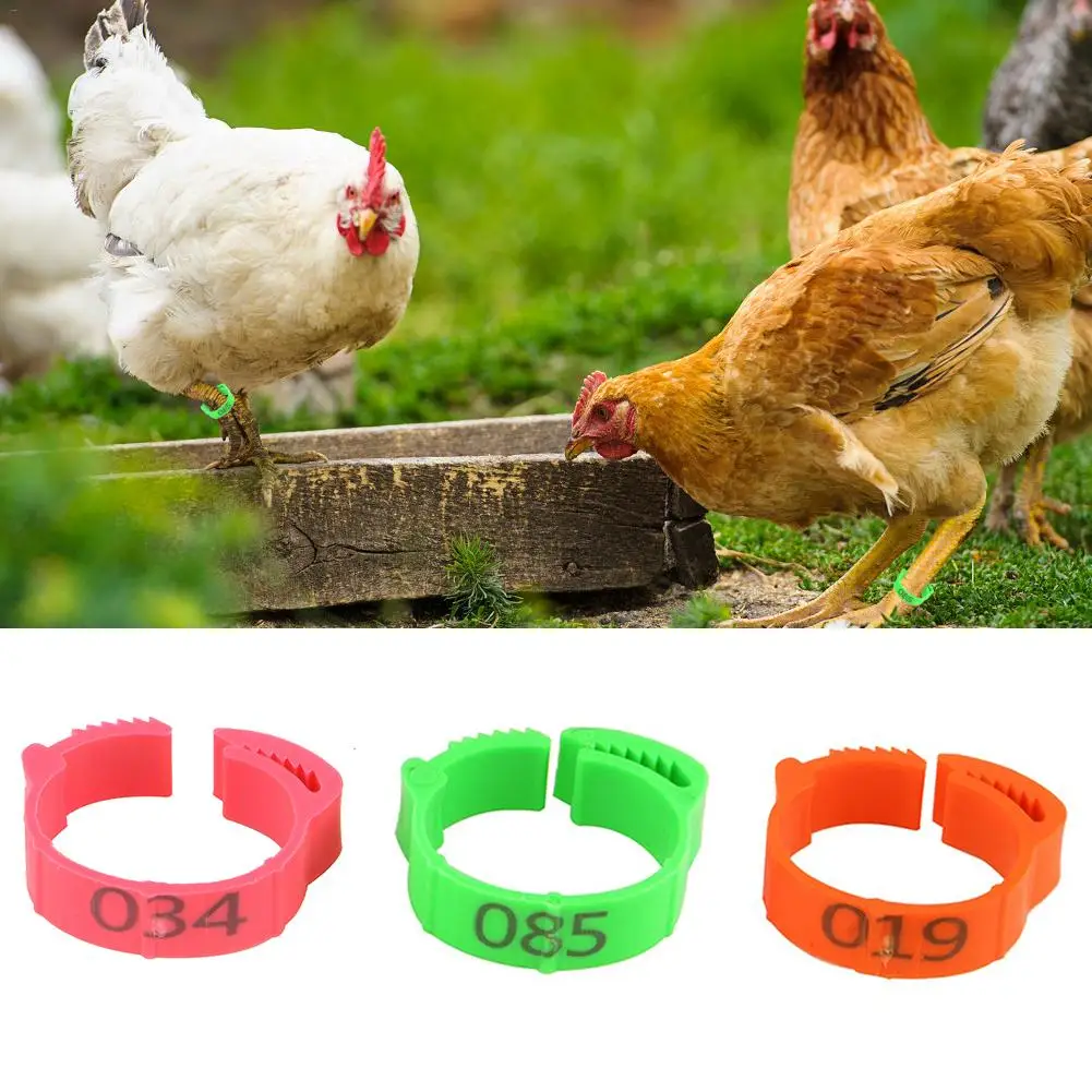 

100Pcs Chicken Leg Ring Adjustable Size Poultry Leg Buckle Digital Label Buckle Ring For Chicken Duck Pigeon Poultry Supplies