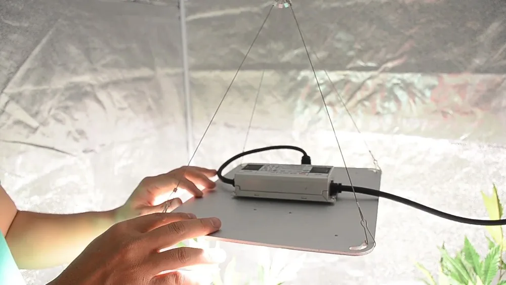 1头量子板详情视频2