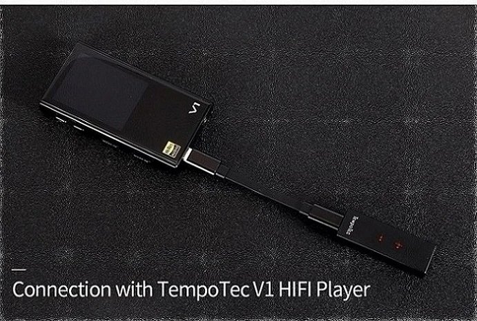 TempoTec SONATA HD PRO TYPE C до 3,5 мм DSD256 для Android и iPhone усилитель для наушников адаптер ЦАП