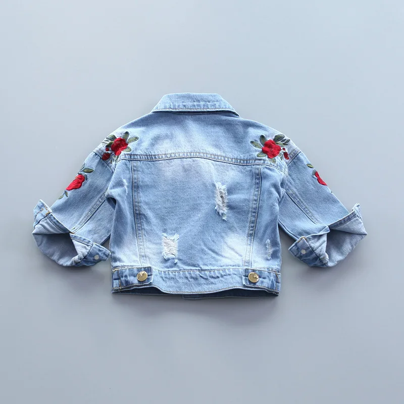 4426930608_2120408601