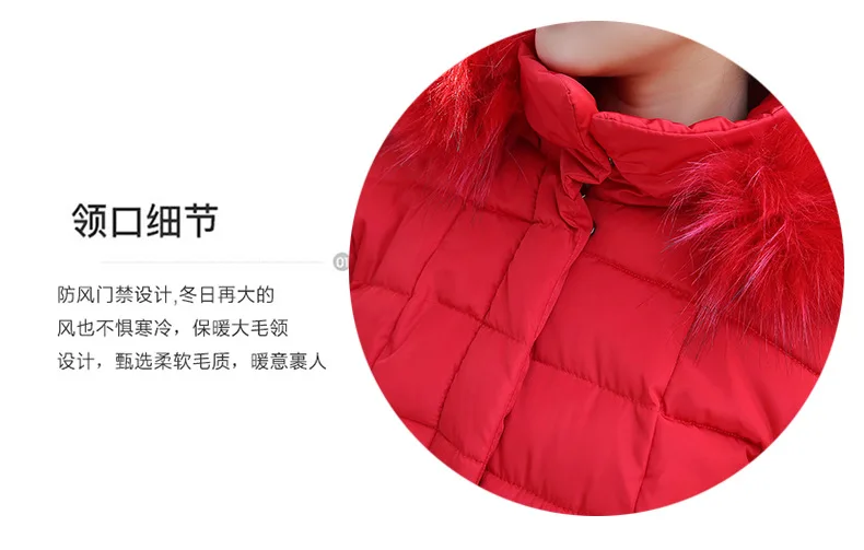New Style Winter Coat Women's Thick Cotton-padded Jacket off Season Cotton Coat Winter Cotton-padded Clothes Long over-the